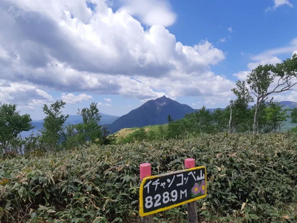 イチャンコッペ山の山頂標識