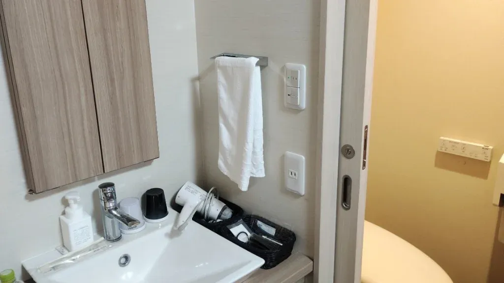 独立洗面台と自動開閉トイレの入り口